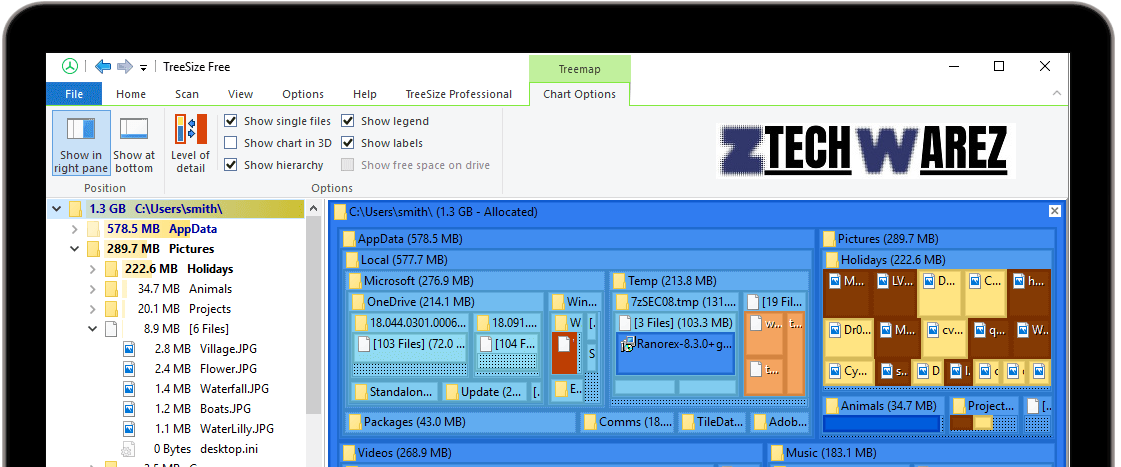 Descargar TreeSize Professional 9.2.1.1907 Lieno Version